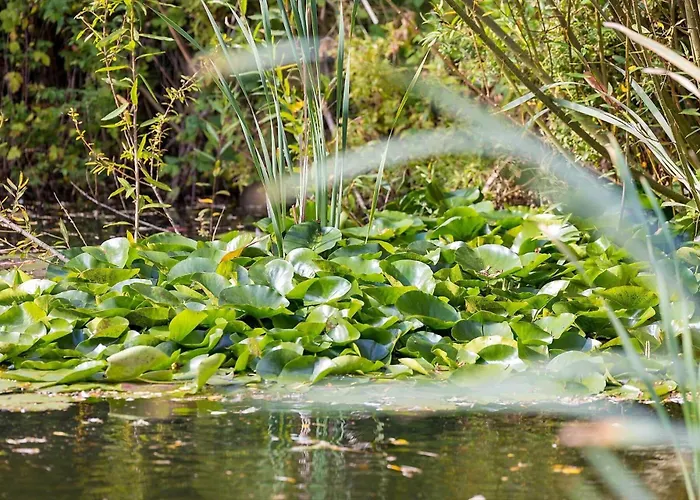 6814-hasle-toftegardsvej-20-f Дом отдыха *